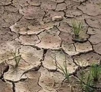 土壤墑情監測儀如何進行安裝