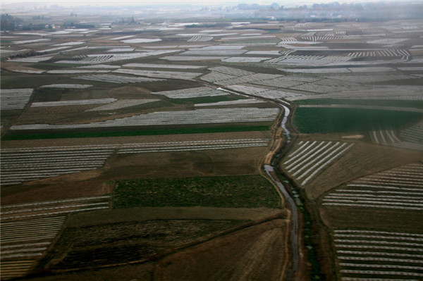 客戶購買土壤養(yǎng)分速測(cè)儀用于營(yíng)養(yǎng)土調(diào)配