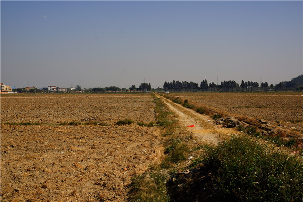 土壤養分速測儀保障我國耕地質量 土壤養分速測儀保障我國耕地質量