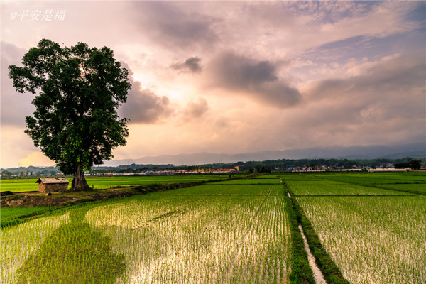 土壤墑情速測(cè)儀的使用效果怎么樣? 土壤墑情速測(cè)儀的使用效果怎么樣?