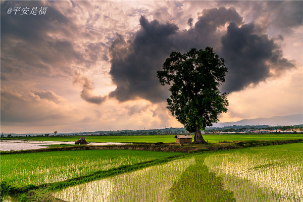 土壤墑情測(cè)定儀的適用范圍 土壤墑情測(cè)定儀的適用范圍