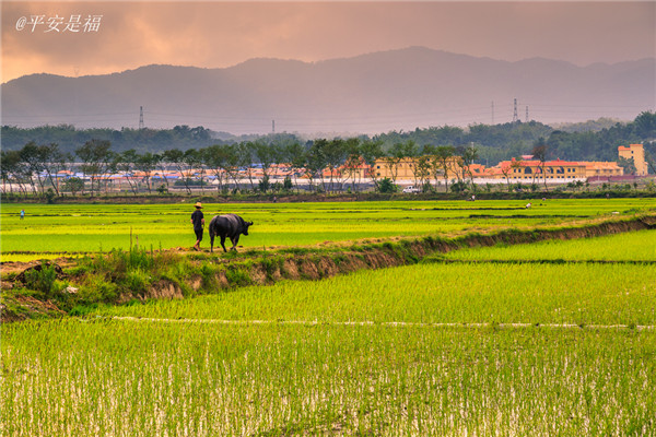 土壤養分速測儀實現用地與養地相結合 土壤養分速測儀實現用地與養地相結合