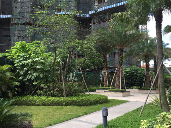 1564647418525288.jpg d39dae2651625953d666b3b210a7d711.jpg