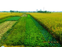 使用土壤墑情速測儀有哪些好處？