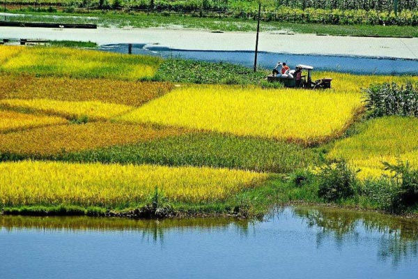 土壤墑情自動監測站淺析 土壤墑情自動監測站淺析