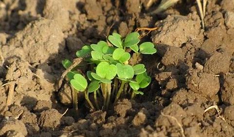 有了物聯網，土壤墑情監測系統才有了“生命”！