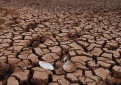 遠程墑情自動監測系統設計思路