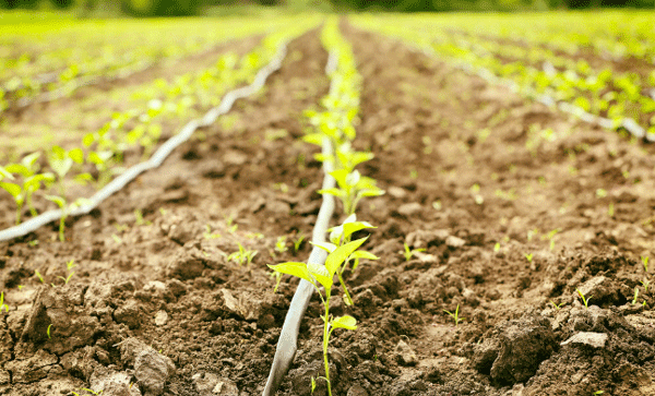 為什么要開展土壤墑情監(jiān)測工作? 為什么要開展土壤墑情監(jiān)測工作?