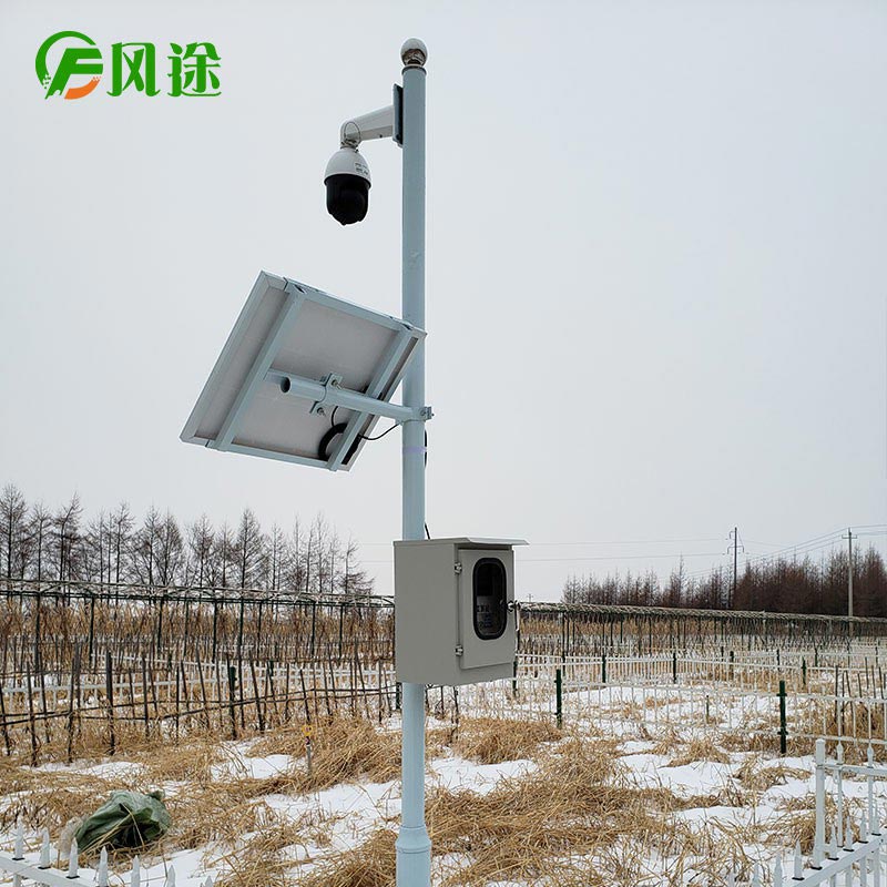 1602811956498997.jpg FT-LORA (2).jpg