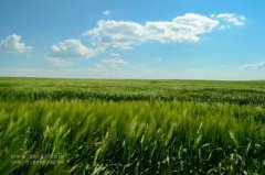 智慧農(nóng)業(yè)帶來了什么？